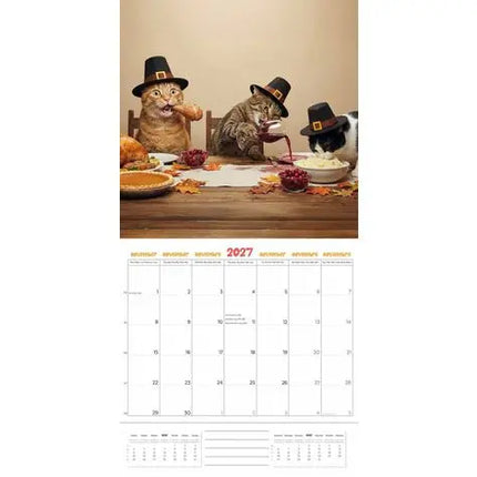 Plenty Gifts Funniest Cats Kalender 2027
