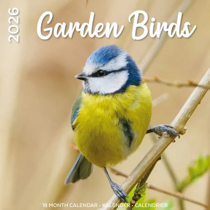 Plenty Gifts Garden Birds Kalender 2026