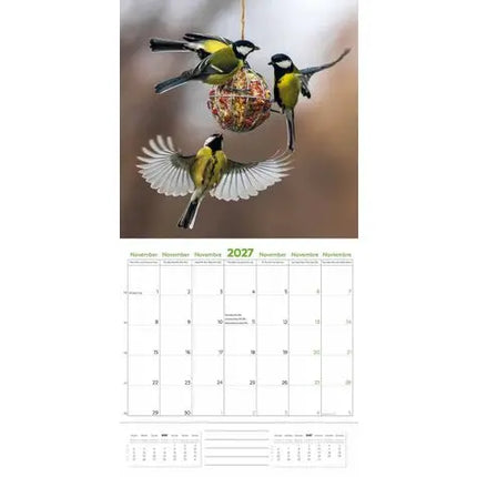 Plenty Gifts Garden Birds Kalender 2027