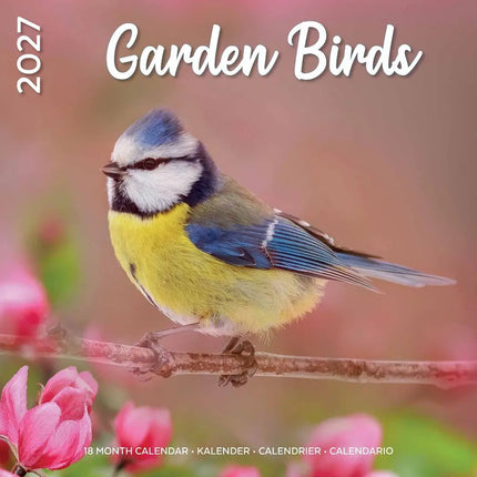 Plenty Gifts Garden Birds Kalender 2027