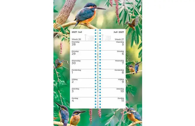 Plenty Gifts IJsvogel Weekomleg Kalender 2027