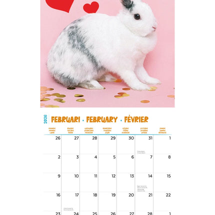 Plenty Gifts Konijnen Studio Kalender 2026