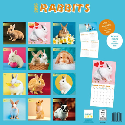 Plenty Gifts Konijnen Studio Kalender 2026