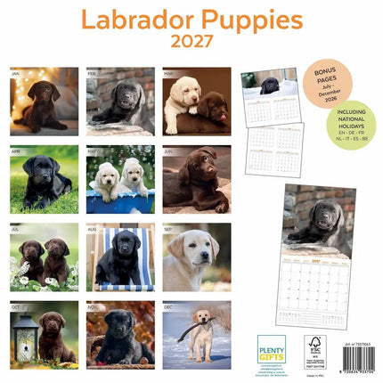 Plenty Gifts Labrador Retriever Puppies Kalender 2027