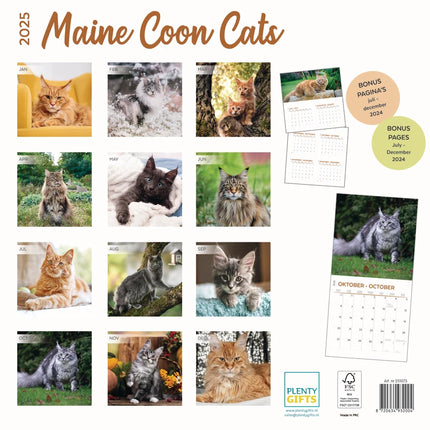 Plenty Gifts Maine Coon Kalender 2025