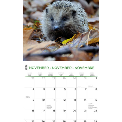 Plenty Gifts Natuur en Dier Kalender 2026
