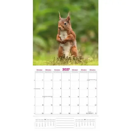 Plenty Gifts Natuur en Dier Kalender 2027