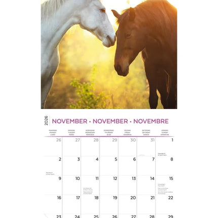 Plenty Gifts Paarden Kalender 2027