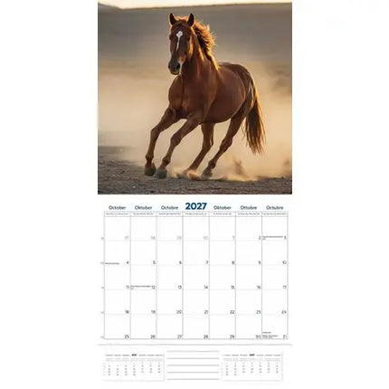 Plenty Gifts Paarden Kalender 2027