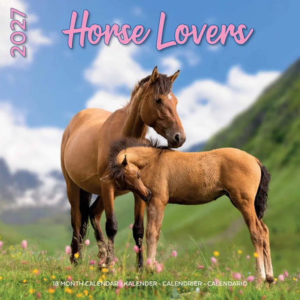 Plenty Gifts Paarden Kalender 2027