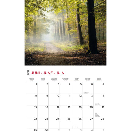 Plenty Gifts Seizoenen Kalender 2026