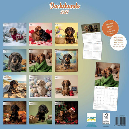 Plenty Gifts Teckel Studio Kalender 2027