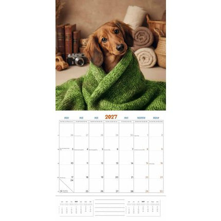 Plenty Gifts Teckel Studio Kalender 2027