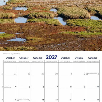 Plenty Gifts Zeeland Kalender 2027
