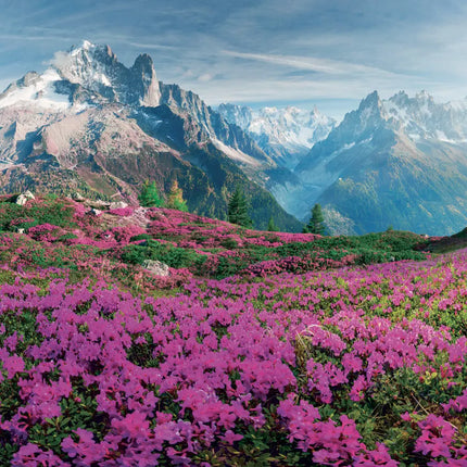Presco Alpen Kalender 2027