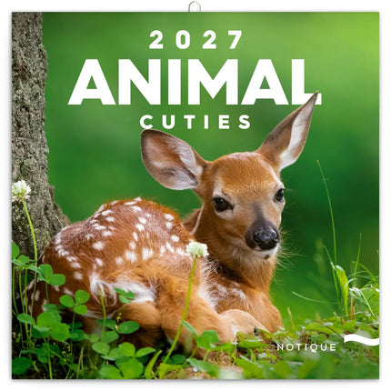 Presco Animal Cuties Kalender 2027