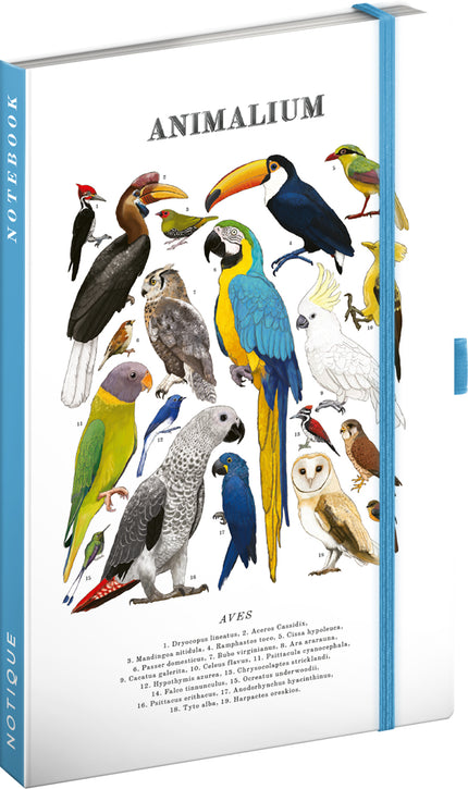 Presco Animalium – Birds Notitieboek A5
