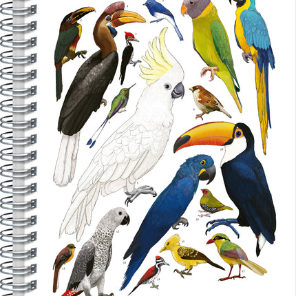 Presco Animalium – Birds Spiraal Notitieboek A5 Blanco