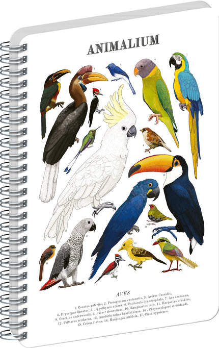 Presco Animalium – Birds Spiraal Notitieboek A5 Blanco