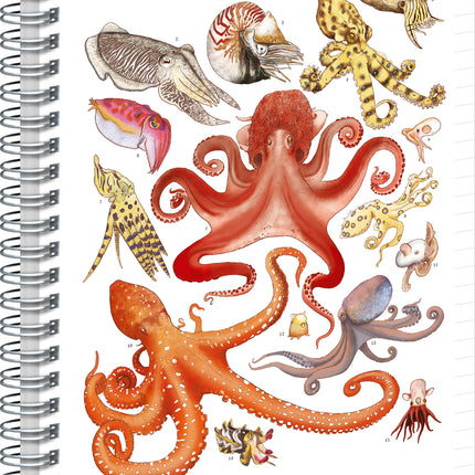 Presco Animalium – Cephalopods Spiraal Notitieboek A4