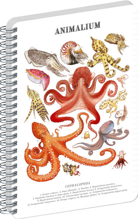Presco Animalium – Cephalopods Spiraal Notitieboek A4