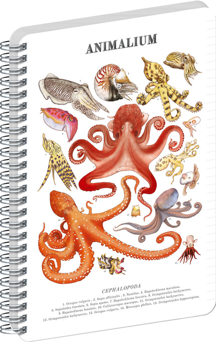 Presco Animalium – Cephalopods Spiraal Notitieboek A4