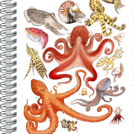 Presco Animalium – Cephalopods Spiraal Notitieboek A5