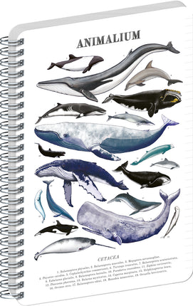 Presco Animalium – Marine Life Spiraal Notitieboek A5