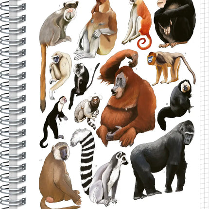 Presco Animalium – Primates Spiraal Notitieboek A4 Ruitjes