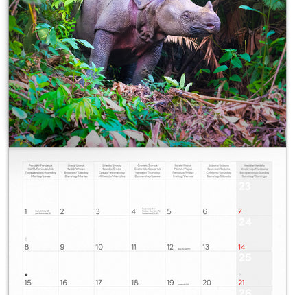 Presco Bedreigde Dieren Kalender 2026