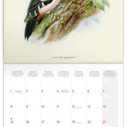 Presco Birds in Art Kalender 2026