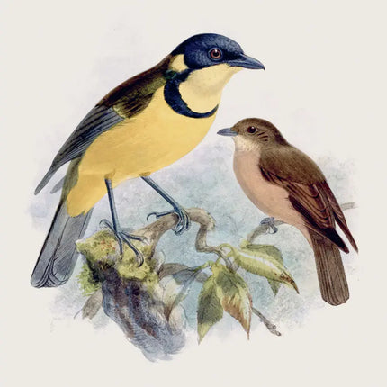 Presco Birds in Art Kalender 2027
