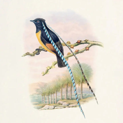 Presco Birds in Art Kalender 2027