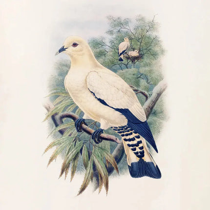 Presco Birds in Art Kalender 2027