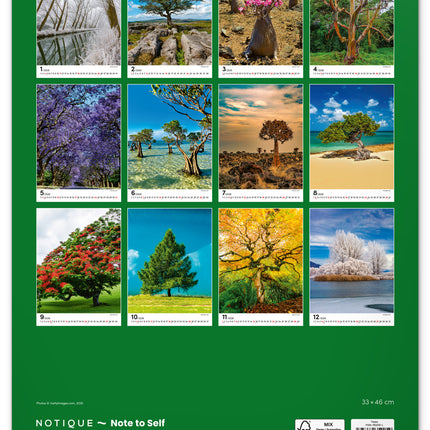 Presco Bomen Kalender 2026 Groot