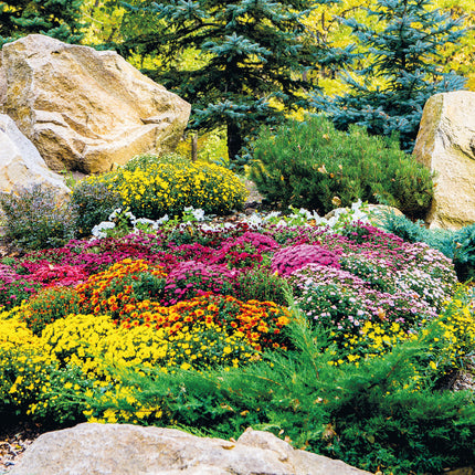 Presco Gardens Kalender 2025