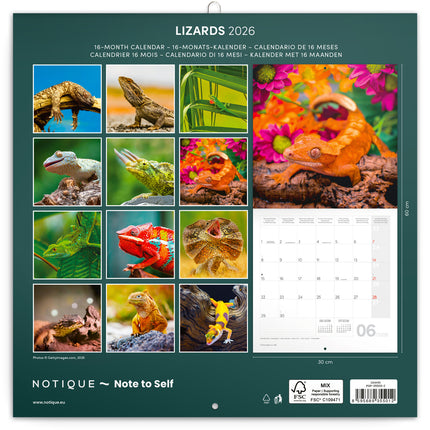 Presco Hagedis Kalender 2026
