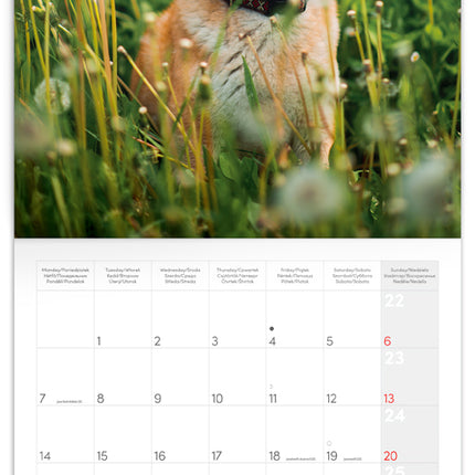 Presco Happy Dog Kalender 2027