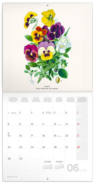 Presco Herbarium Kalender 2026