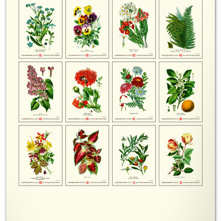 Presco Herbarium Kalender 2026 Groot