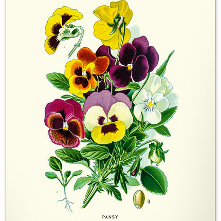 Presco Herbarium Kalender 2026 Groot