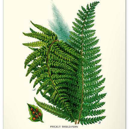 Presco Herbarium Kalender 2026 Groot
