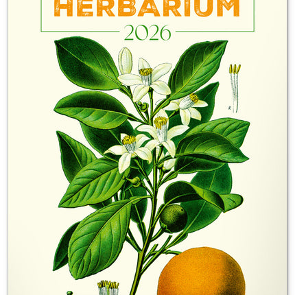 Presco Herbarium Kalender 2026 Groot