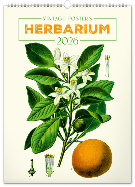 Presco Herbarium Kalender 2026 Groot