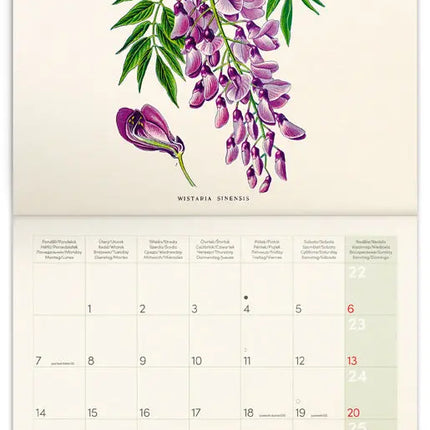 Presco Herbarium Kalender 2027