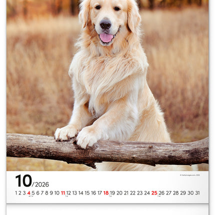 Presco Honden Kalender 2026