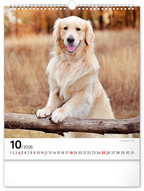 Presco Honden Kalender 2026