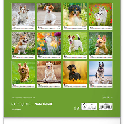 Presco Honden Kalender 2026