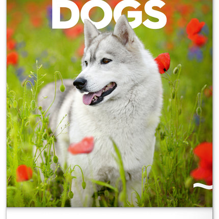 Presco Honden Kalender 2026