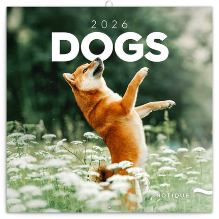 Presco Honden Kalender 2026
